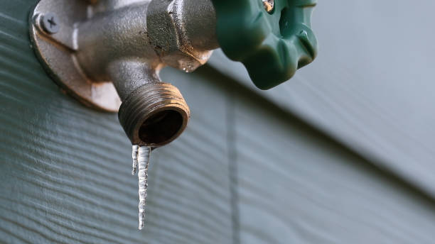 Best Clogged Drain Plumber  in Clayton, DE